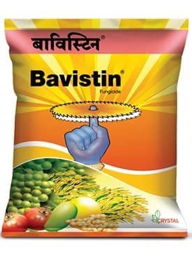 Bavistin Carbendazim Fungicide
