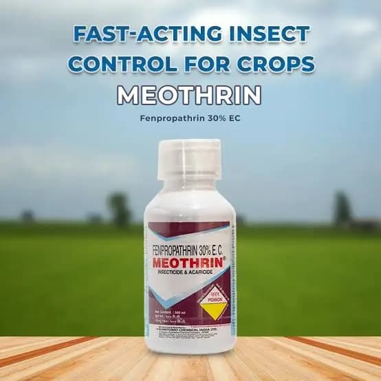 Sumitomo Meothrin Insecticide