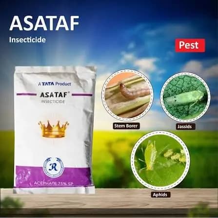Tata Rallis Asataf Insecticide – Acephate 75% SP