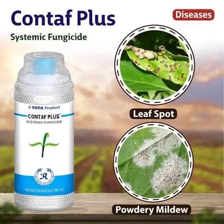 Tata Rallis Contaf Plus Fungicide – Hexaconazole 5% SC