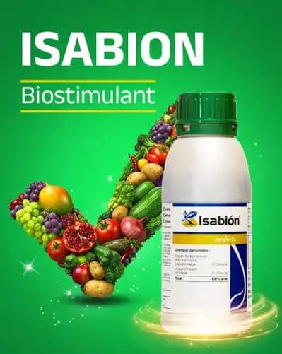 Syngenta Isabion Biostimulant – Amino Acids 62.5%