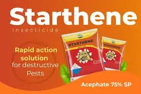 SWAL Starthene Power – Acephate 50% + Imidacloprid 1.8% SP
