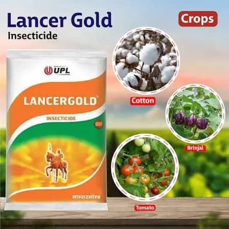 UPL Lancergold – Acephate 50% + Imidacloprid 1.8% SP Insecticide