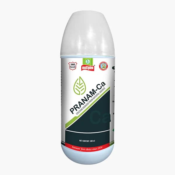 Multiplex Pranam-Ca – Calcium 11–15% + Nitrogen 11% + Boron 1%
