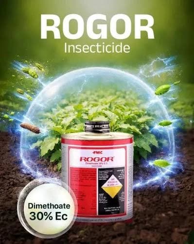 FMC Rogor – Dimethoate 30% EC Insecticide