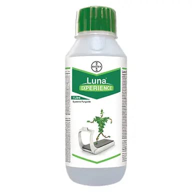 Bayer Luna Experience – Fungicide