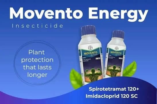 Bayer Movento Energy Insecticide – Spirotetramat 11.01% + Imidacloprid 11.01%