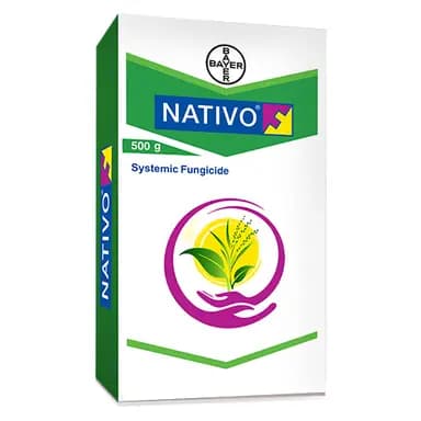 Bayer Nativo Fungicide – Tebuconazole and Trifloxystrobin