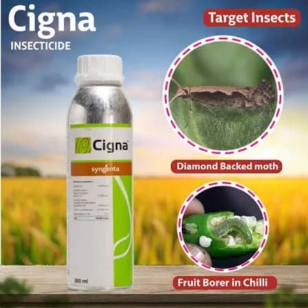 Syngenta Cigna Insecticide