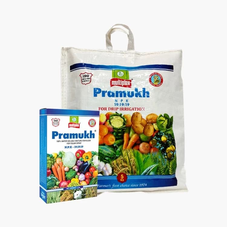 Multiplex Pramukh 19:19:19