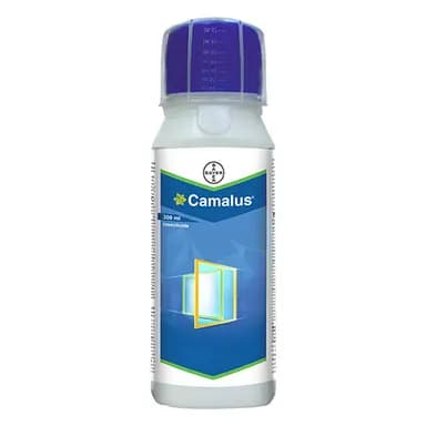 Bayer Camalus Insecticide