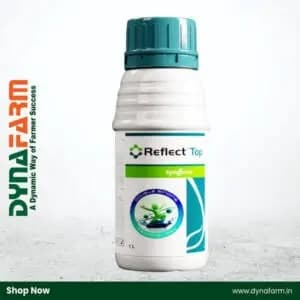 Syngenta Reflect Top