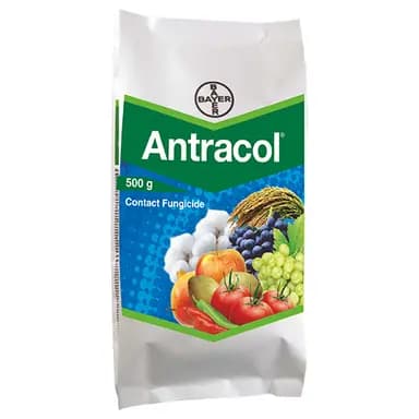 Bayer Antracol Fungicide