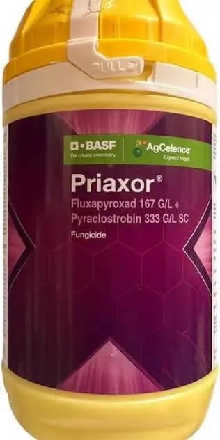 BASF Priaxor Fungicide