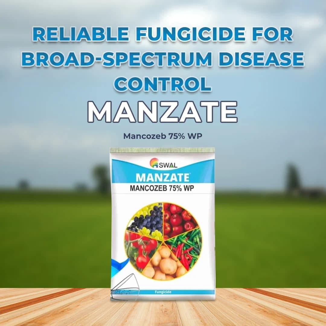 SWAL Manzate