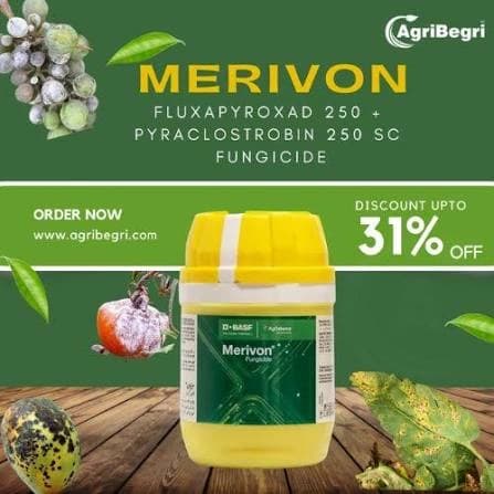 BASF Merivon Fungicide