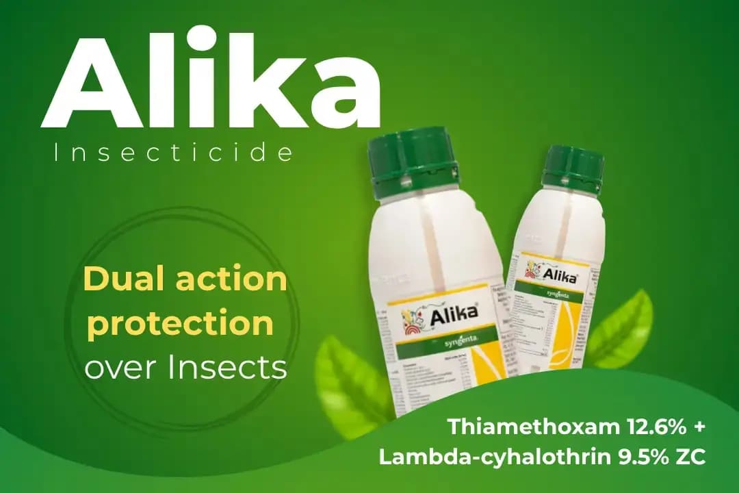 Syngenta Alika Insecticide