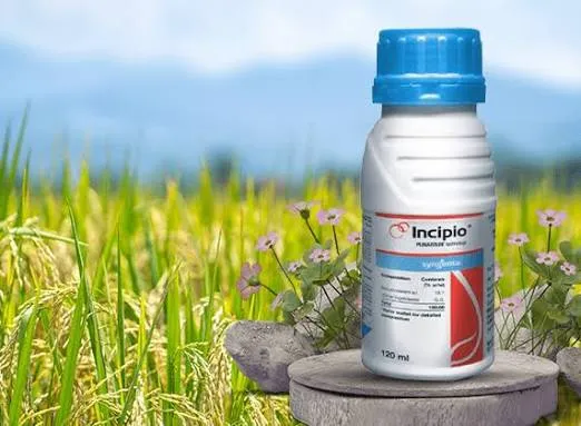 Syngenta Incipio – Isocycloseram 18.1% w/w SC Insecticide